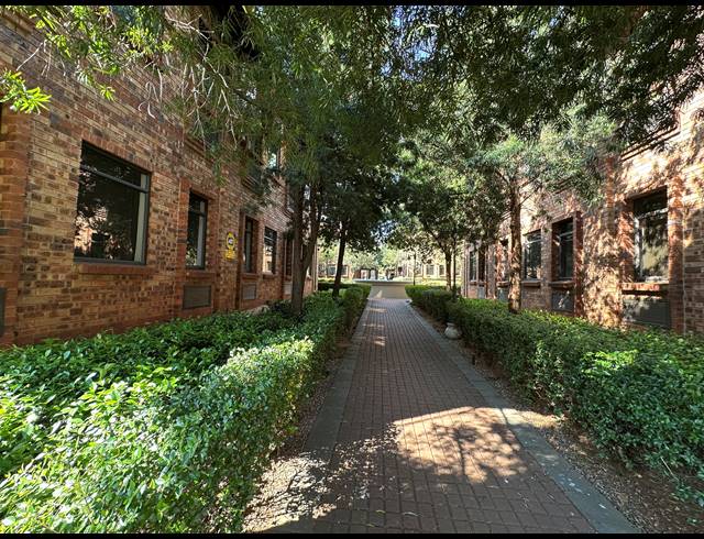 116.80M² OFFICE TO LET IN DIE HOEWES